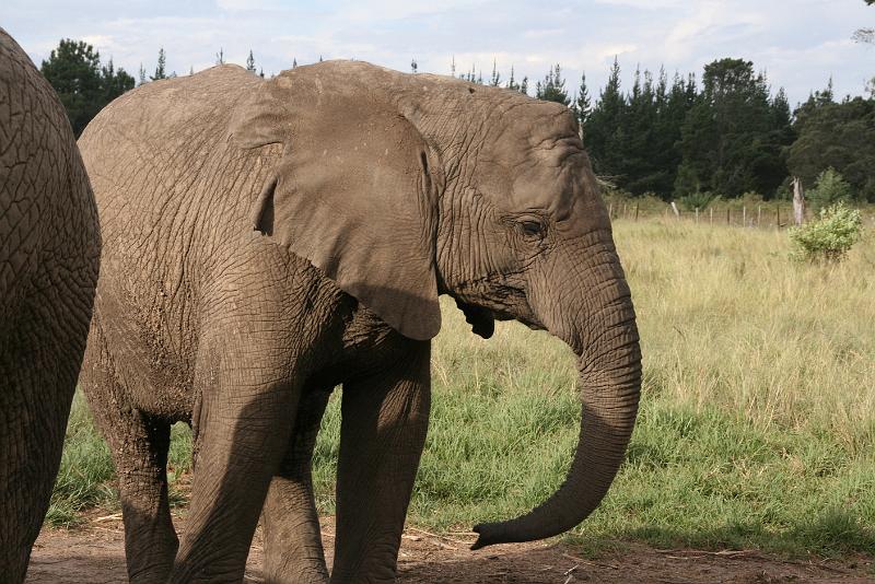 Elephant Sanctuary (14).jpg